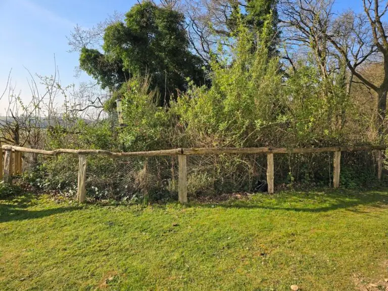 The Pollinator Garden